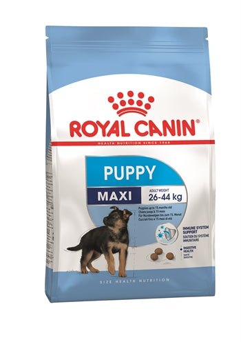 Royal Canin Königlicher Canin-Maxi-Welpe