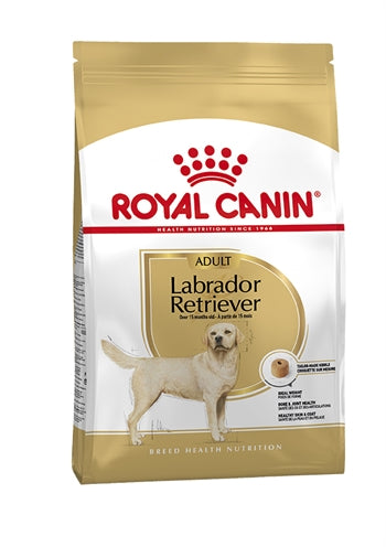 Royal Canin Königlicher Canin Labrador Retriever Erwachsen