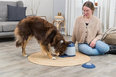 Trixie Hund Aktivität Gedächtnistrainer 3.0