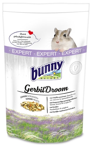 Bunny Nature Kaninchen Natur Gerbildroom Experte