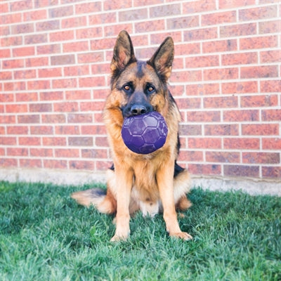 Kong Flexball Violett