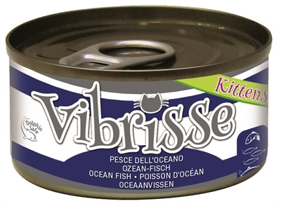 Vibrisse Kätzchen Katze Ozean Fisch