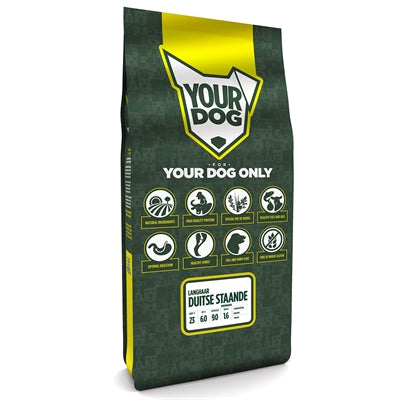 Yourdog Senioryourdog Langhaar