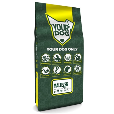 Yourdog Ihrhund Maltesischer Senior