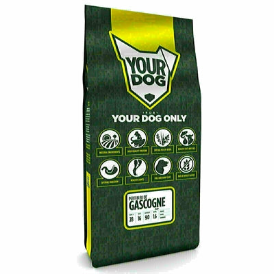 Yourdog Petit Bleu De Gascogne Welpe