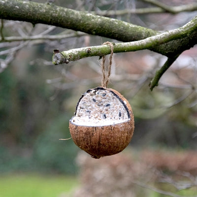 Best For Birds Kokosnuss Gefüllt Mit Fett