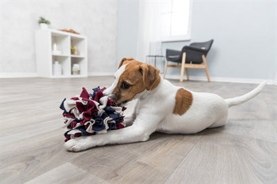 Trixie Hund Aktivität Schnüffelball