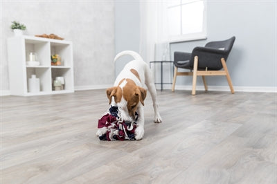 Trixie Hund Aktivität Schnüffelball