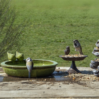 Best For Birds Vogeltränke Rund Keramik Grün