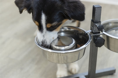 Trixie Hund Langsam Fütternd Edelstahl