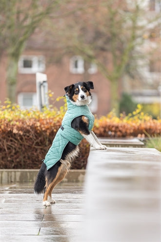 Trixie Citystyle Be Eco Hundemantel Oslo Recycelt Jade Grün