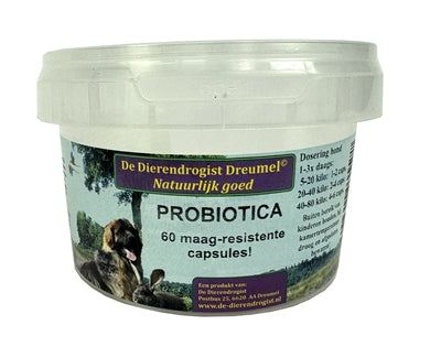 Dierendrogist Probiotika-Kapseln