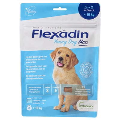 Flexadin Young Dog Maxi Kaut