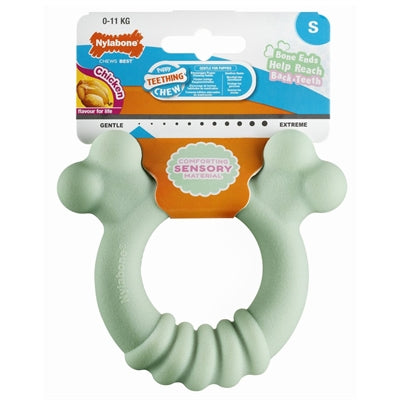 Nylabone Welpe Tastring Huhn Geschmack