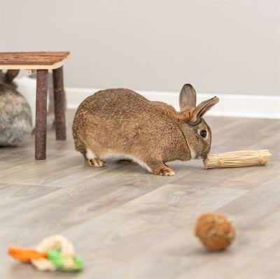 Trixie Grasspielzeug Mit Jute