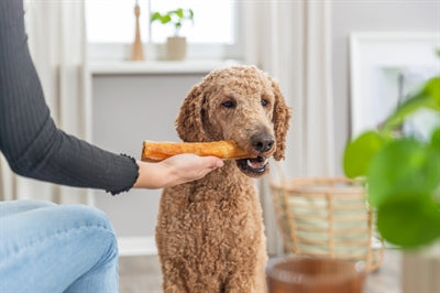 Trixie Collagen Denta Fun Roll Mit Huhn