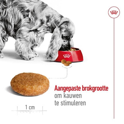 Royal Canin Mittel Erwachsen