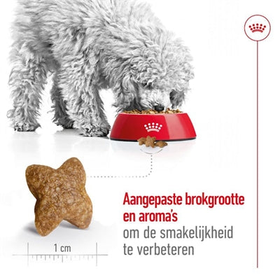 Royal Canin Mini Erwachsener