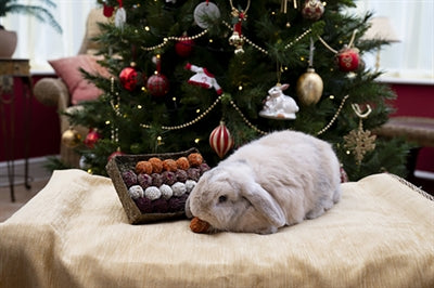 Cupid & Comet Advent Geschenk 'N' Forage Trüffelschale