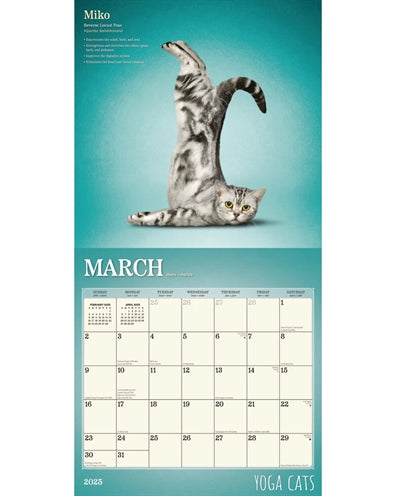 Markenlos Kalender Yoga Katzen 2025