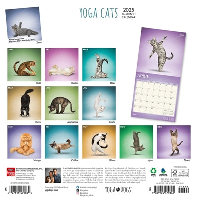 Markenlos Kalender Yoga Katzen 2025