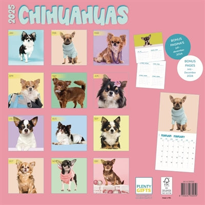 Markenlos Kalender Chihuahua Studio 2025