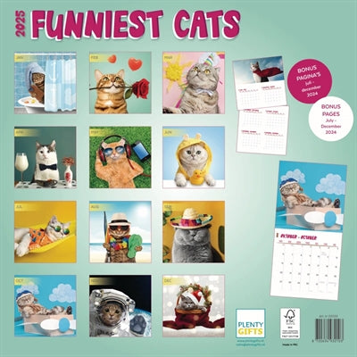 Markenlos Kalender Lustigste Katzen 2025