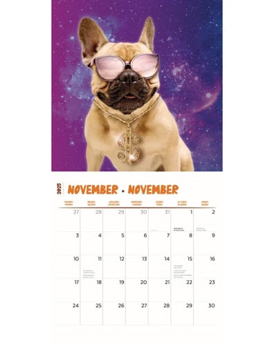 Markenlos Kalender Verrückte Hunde 2025