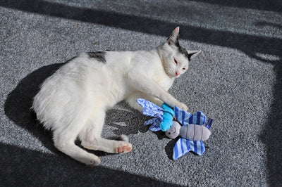 Battersea Schmetterling Und Libelle Duo Blau