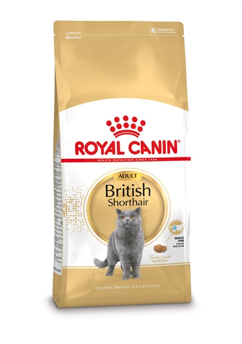 Royal Canin Britisch Kurzhaar