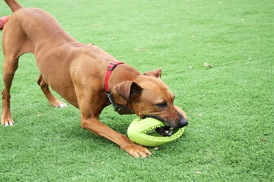 Happy Pet Grubber Interaktiver Rugby-Ball